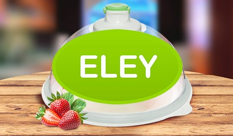Website for Company ELEY